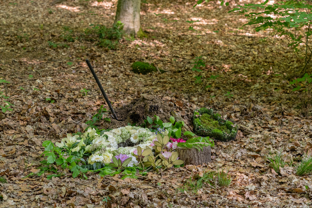 Mit Blumen geschmückte Beisetzungsstelle am Fuß eines Baumes