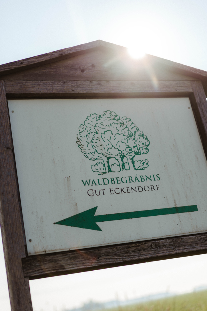 Hölzerner Wegweiser zum Waldbegräbnis Gut Eckendorf im Sonnenlicht